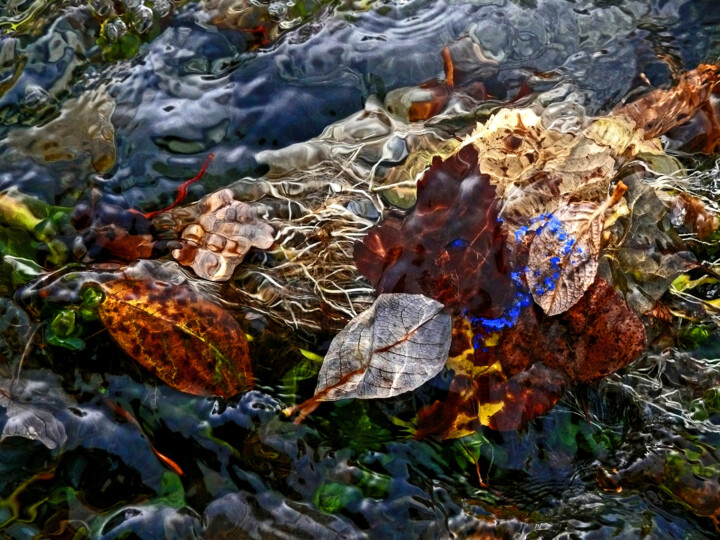 La ficelle bleue Fotografie, 23,6x31,5 in