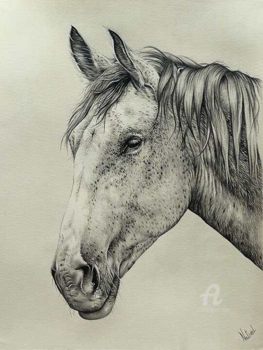 图画,  15.8x11.8 in 