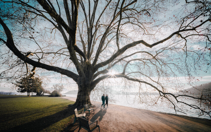 Photographie intitulée "Le parc du géant" par Loïc Cancade, Œuvre d'art originale, Photographie numérique