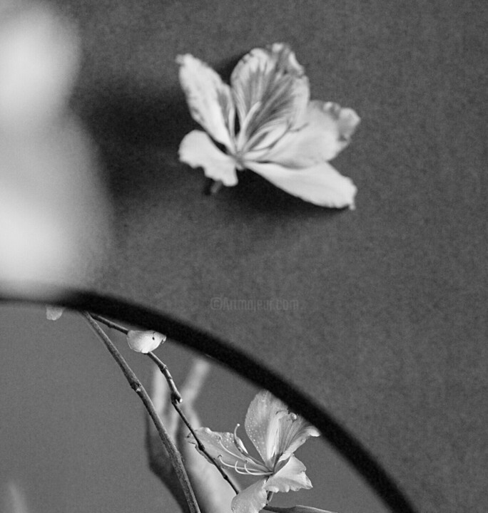 Details