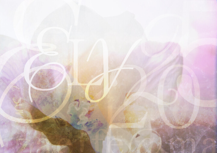 Aanvullende afbeeldingen 6