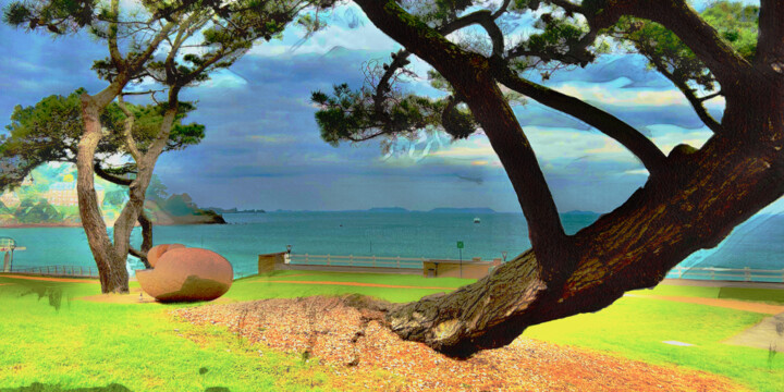 PLAGE DE TRESTAOU SOUS LES PINS Fotografia