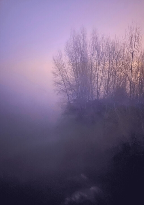 " Brume de Loire " 摄影, 23.4x16.5 in