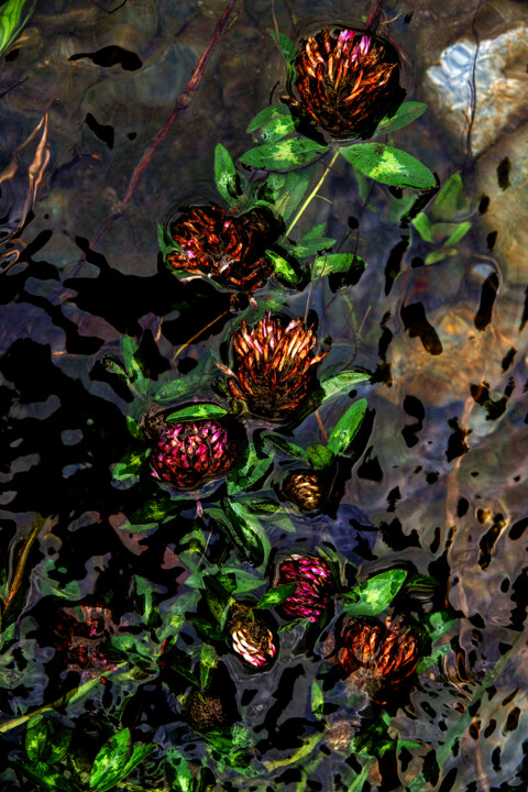 Fotoğraf,  35,4x23,6 in 