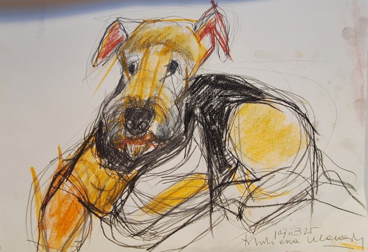 Toby, the airedale terrier 图画, 11.4x16.1 in