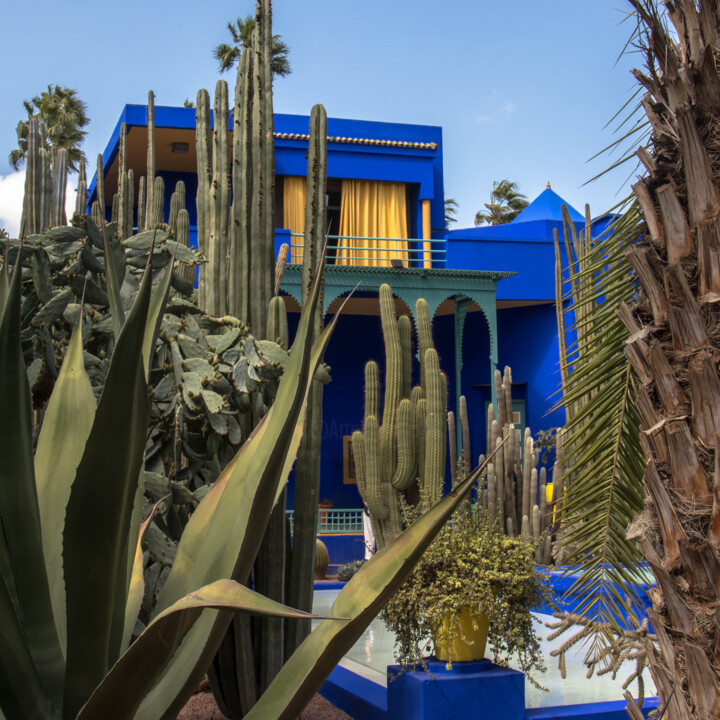 Photographie intitulée "Majorelle" par Hubert Trublard, Œuvre d'art originale, Photographie numérique Monté sur Autre pannea…