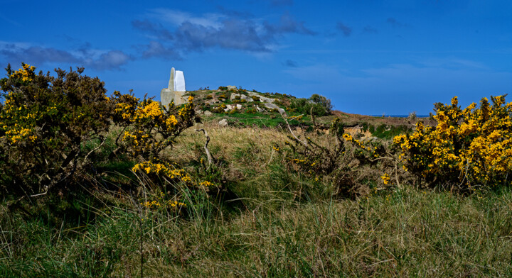 Carantec, baie de Moralaix, l'île Callot en mars. 摄影, 321.3x590.6 in