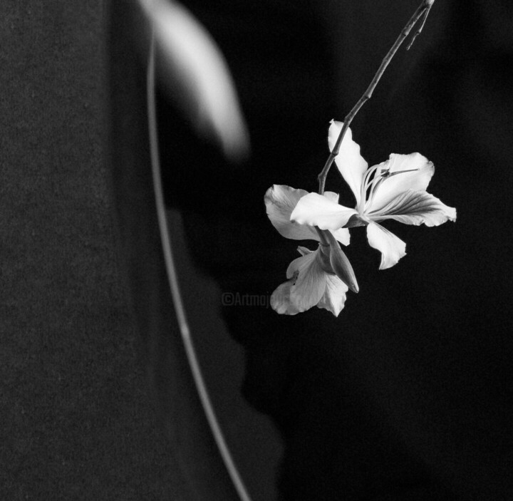 Details