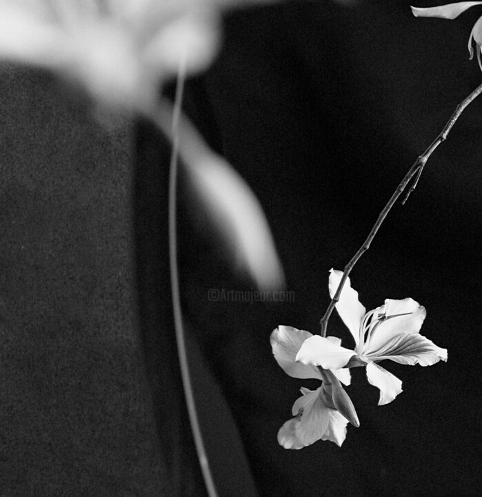Details