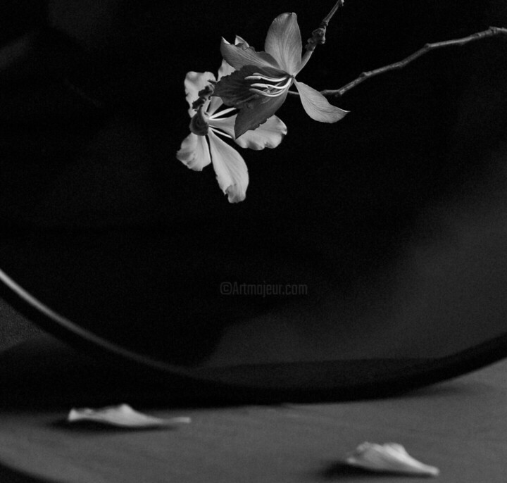 Details