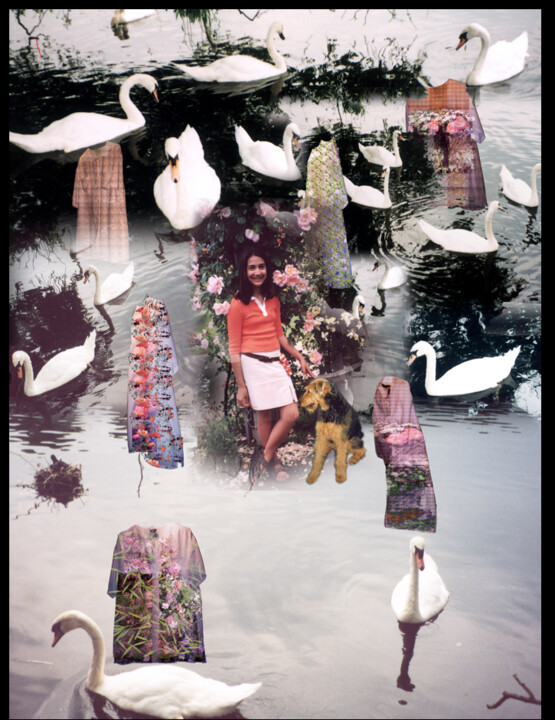 Photography titled "Six Swans" by Annadora Imports, Original Artwork, Analog photography