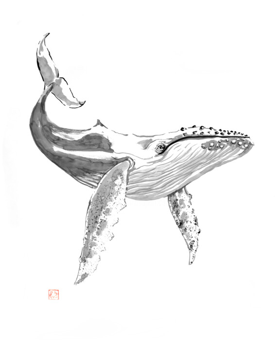 whale 图画, 39.4x31.5 in