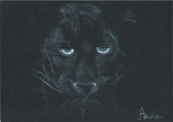 Perle noir 图画, 11.8x7.9 in