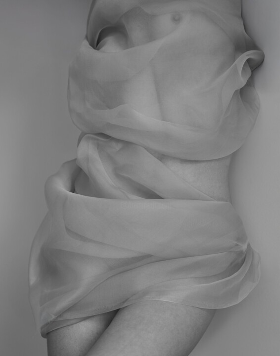 Photography titled "Veil, II" by Kourosh Sotoodeh, Original Artwork, Digital Photography