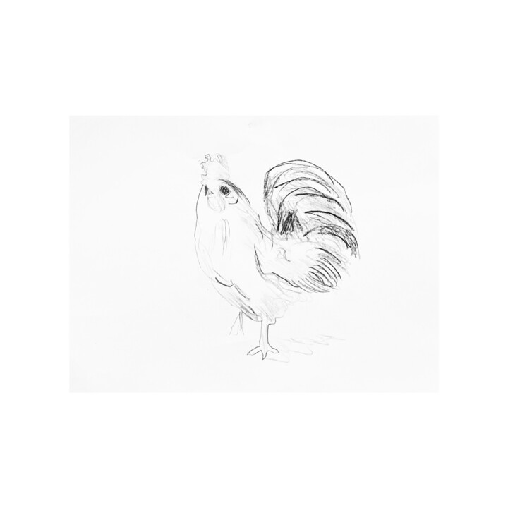 Chicken 图画, 9.8x11.8 in
