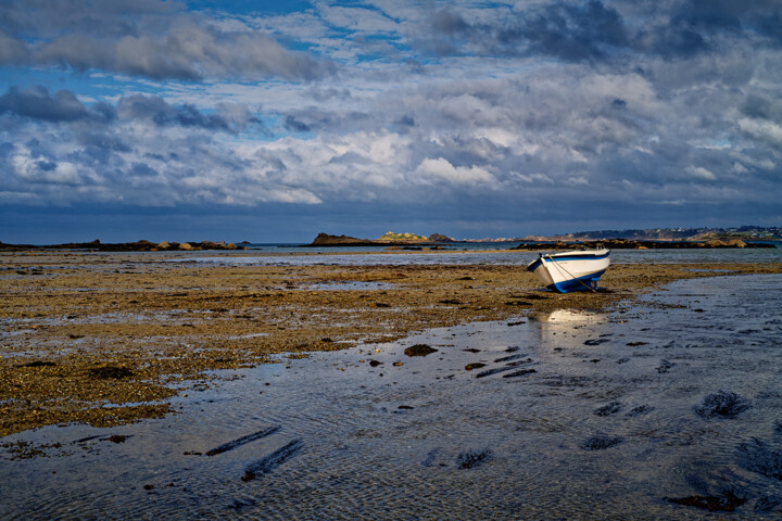 Fotografia,  393,7x590,6 in 