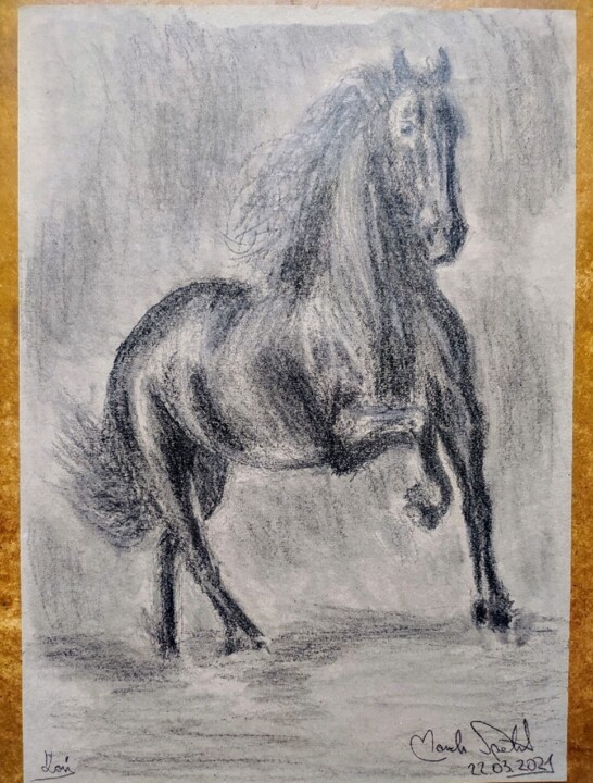 图画,  8.3x11.7 in 