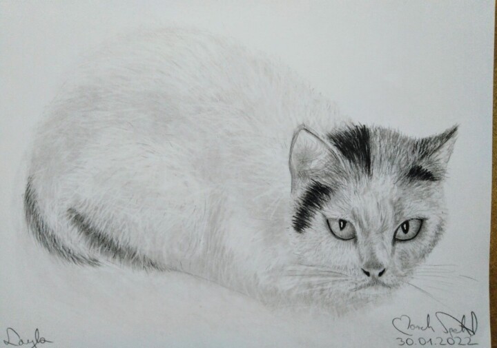 Layla 图画, 8.3x11.7 in