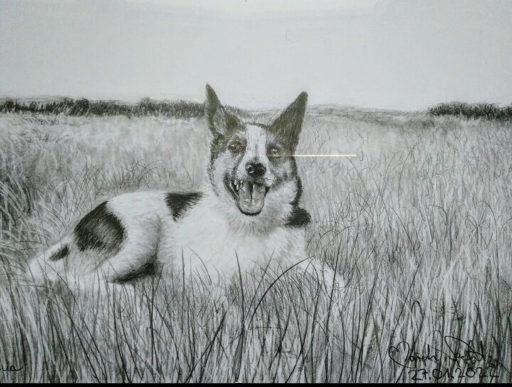 Dina 图画, 8.3x11.7 in