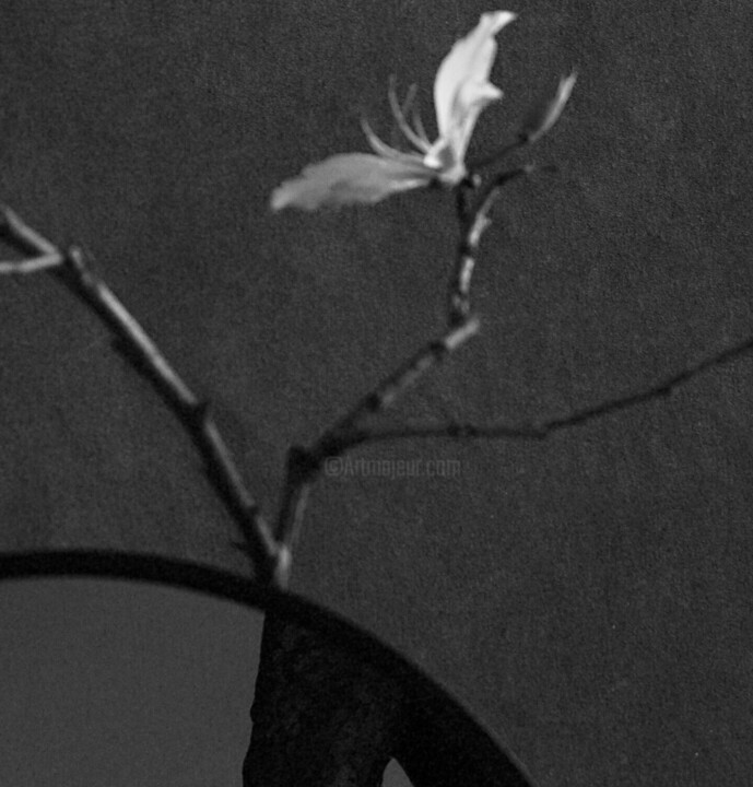 Details
