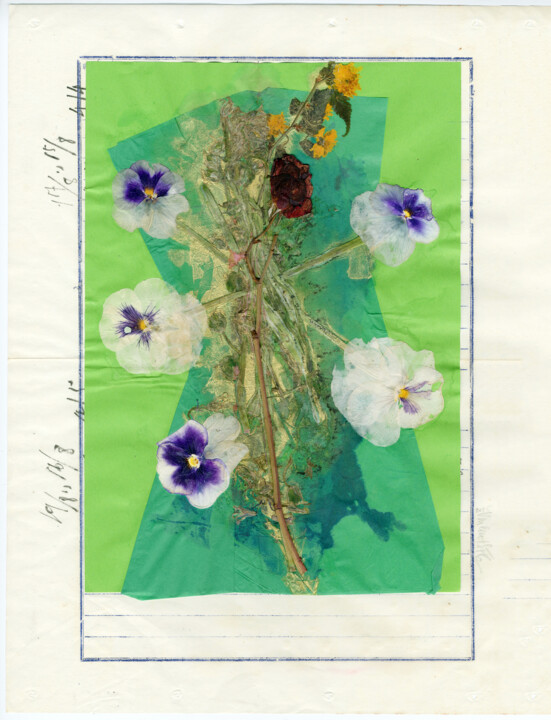 Kolaże zatytułowany „Floralies (1)” autorstwa Vincent Sfg, Oryginalna praca, Kolaże