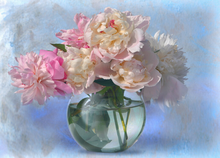 Flowerissimo_11265 Fotoğraf