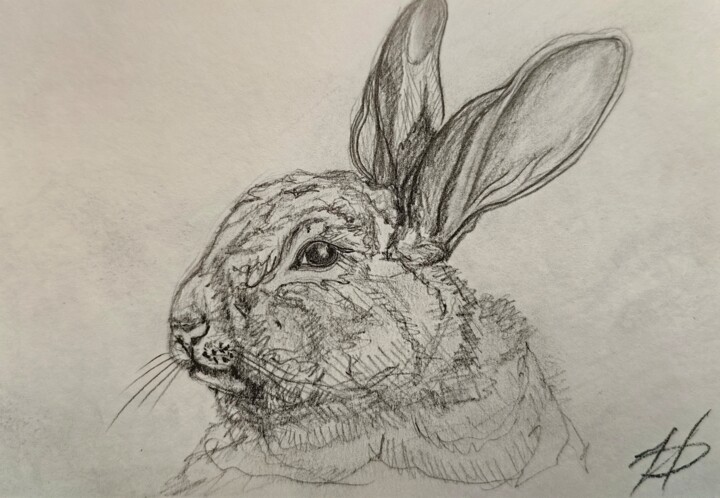 ,,Hare,,graphics 图画, 5x7.9 in