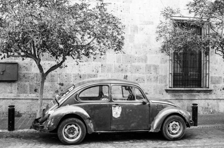 Fotoğraf 
