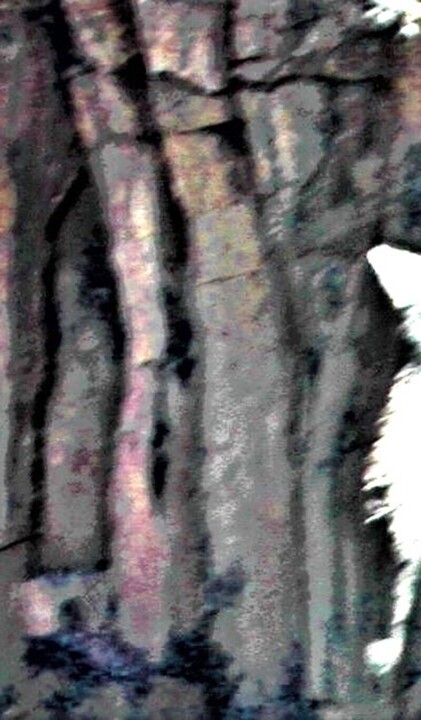 Steps of the making of the work