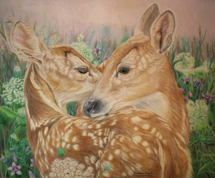 图画 标题为“Twin Fawn Tenderness” 由Deidra Smith, 原创艺术品, 铅笔
