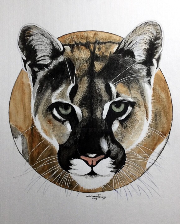 PUMA 绘画, 25.6x19.7 in