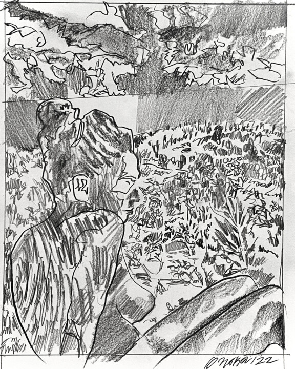 Blank Stare Pencil 图画, 14x11 in