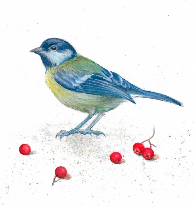 bird titmouse 绘画, 8.2x7.1 in