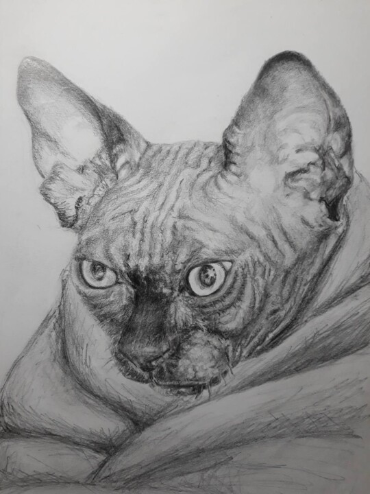 Resim,  11,7x8,3 in 