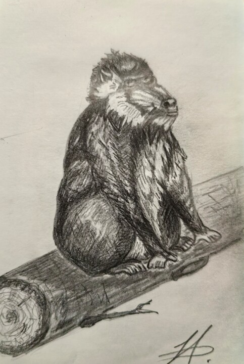 ,,Monkey on a log,, drawing Tekening, 5x7,9 in