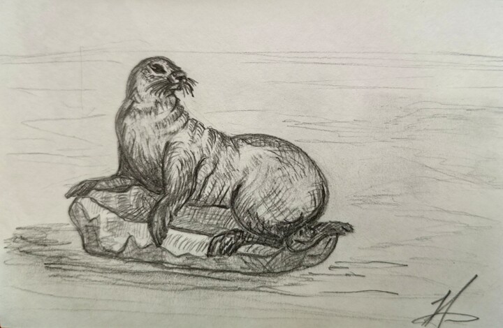 ,, Navy seal ,, pencil drawing 图画, 5x7.9 in