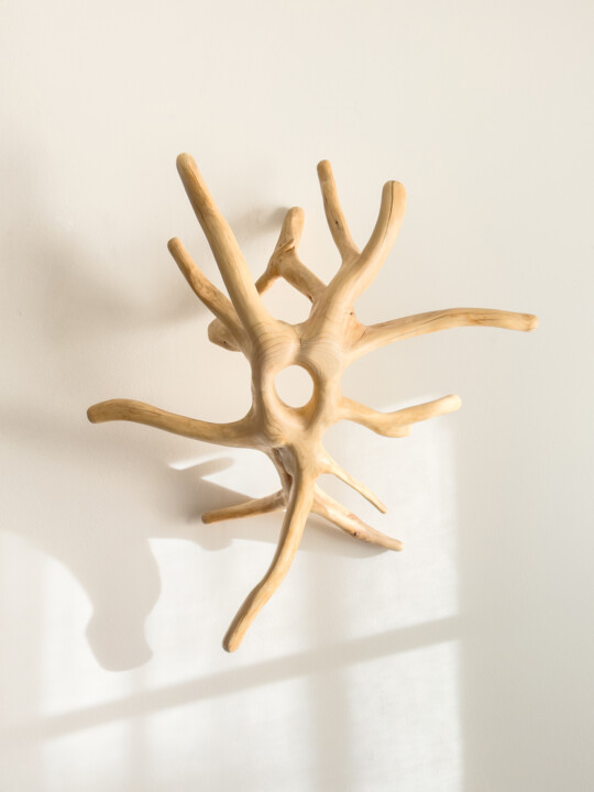Roots of Infinity 雕塑, 31.5x27.6 in