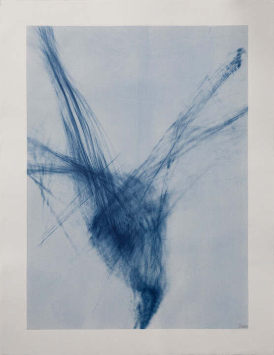 The Photonic blue series | The phoenix 摄影, 25.6x19.7 in
