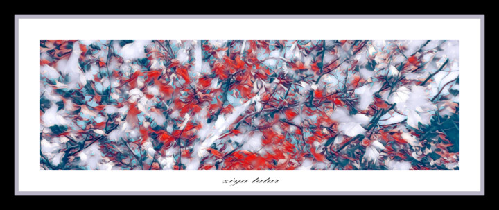 数字艺术 标题为“The colors of heave…” 由Ziya Tatar, 原创艺术品, 电影摄影