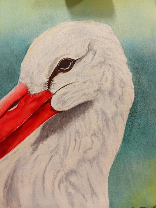 Аист 绘画, 15.2x11.2 in