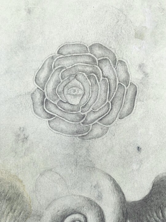 其他意见 2