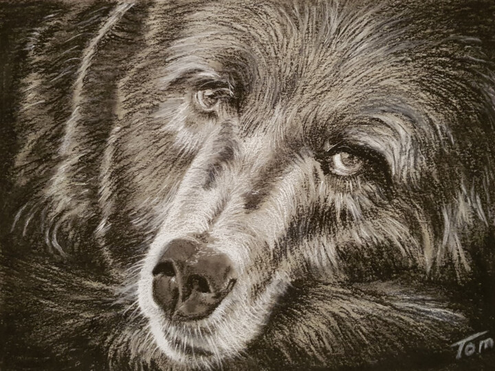 Black Bowny Рисунок, 5,5x8,3 in