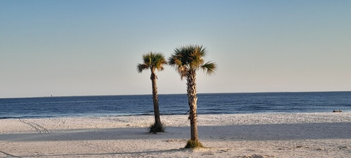 Photography titled "DAJA BLAQQ: OCEAN S…" by Daja, Original Artwork, Analog photography