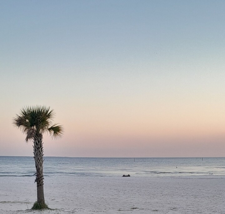 Photography titled "DAJA.BLAQQ: OCEAN S…" by Daja, Original Artwork, Analog photography