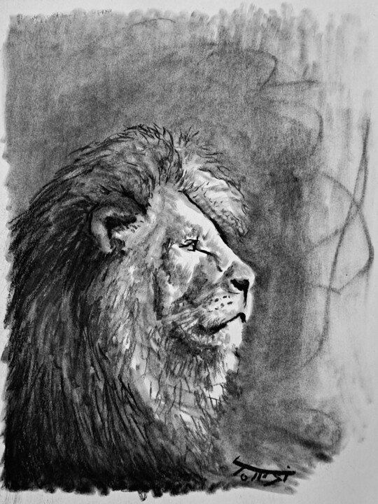 Lion 图画, 11.8x7.9 in