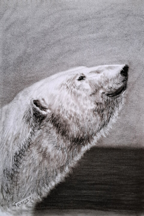 Desenho,  11,8x7,9 in 