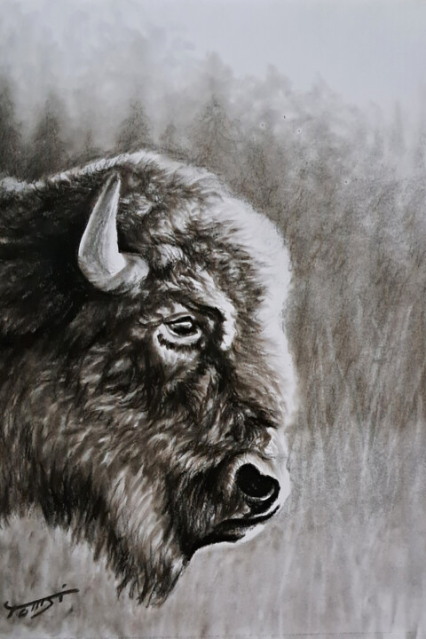 Bison Drawing, 11.8x7.9 in