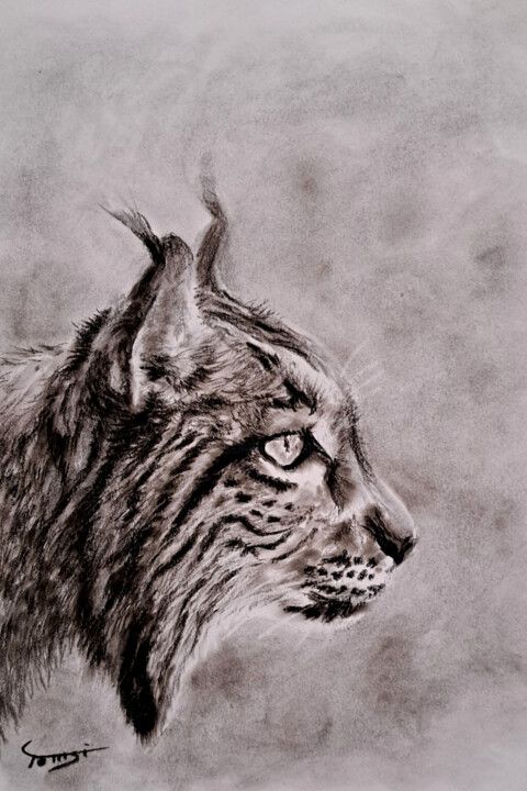Lynx 图画, 7.9x11.8 in