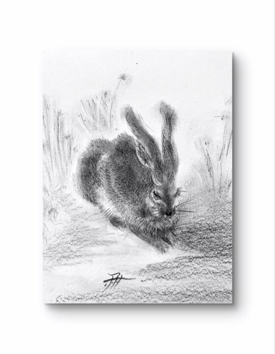 Wild Whispers – Framed Graphite Hare Drawing