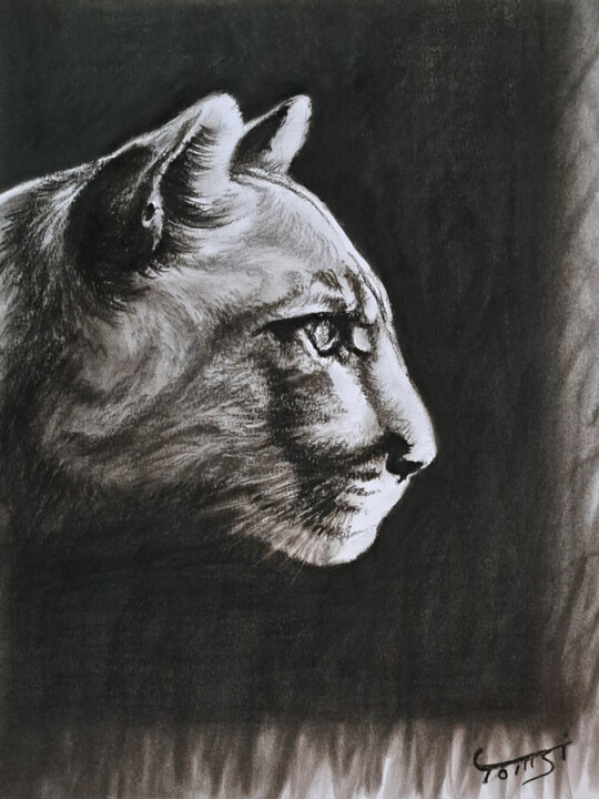 Puma Concolor 图画, 11.8x7.9 in